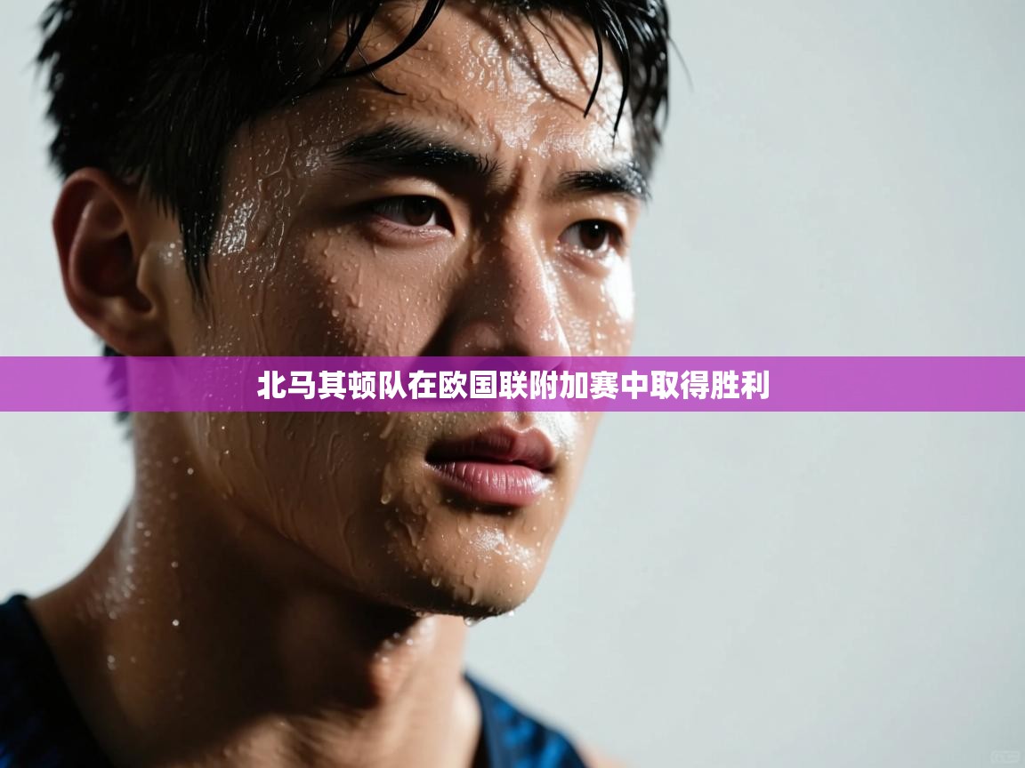 北马其顿队在欧国联附加赛中取得胜利 第1张