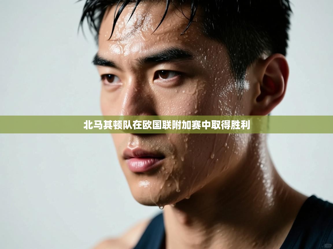 北马其顿队在欧国联附加赛中取得胜利 第2张