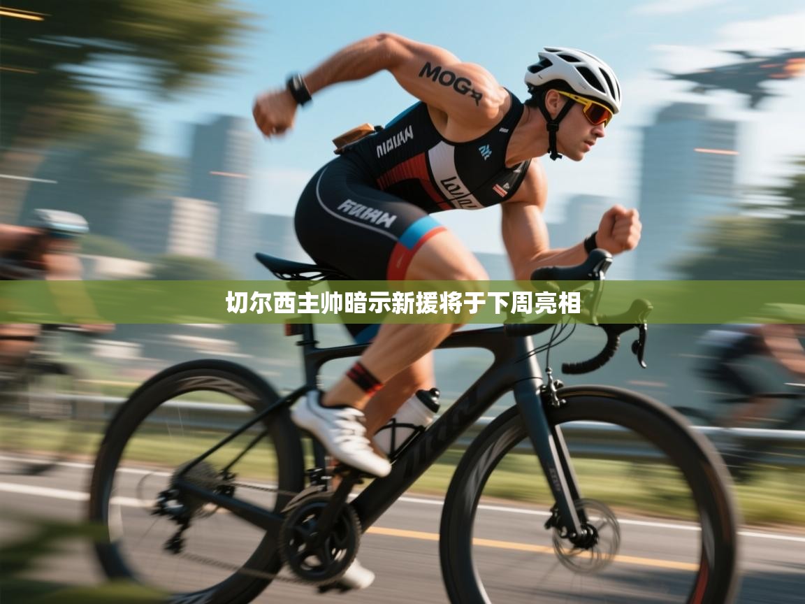 切尔西主帅暗示新援将于下周亮相