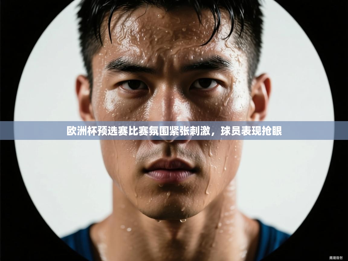 欧洲杯预选赛比赛氛围紧张刺激,球员表现抢眼 第2张