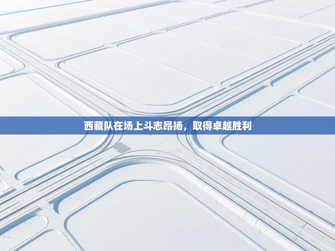 西藏队在场上斗志昂扬，取得卓越胜利  第1张