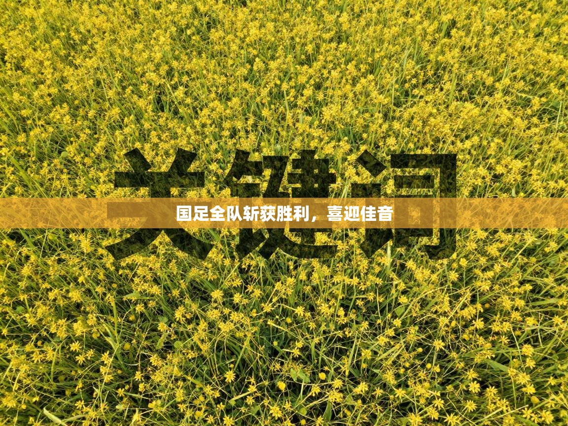 国足全队斩获胜利，喜迎佳音  第2张