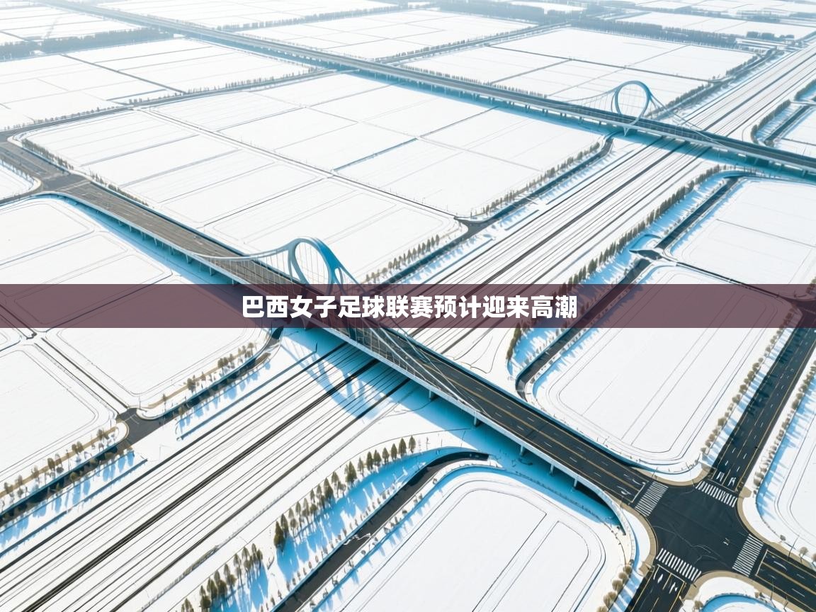 巴西女子足球联赛预计迎来高潮  第1张