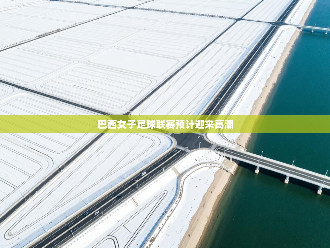 巴西女子足球联赛预计迎来高潮  第2张