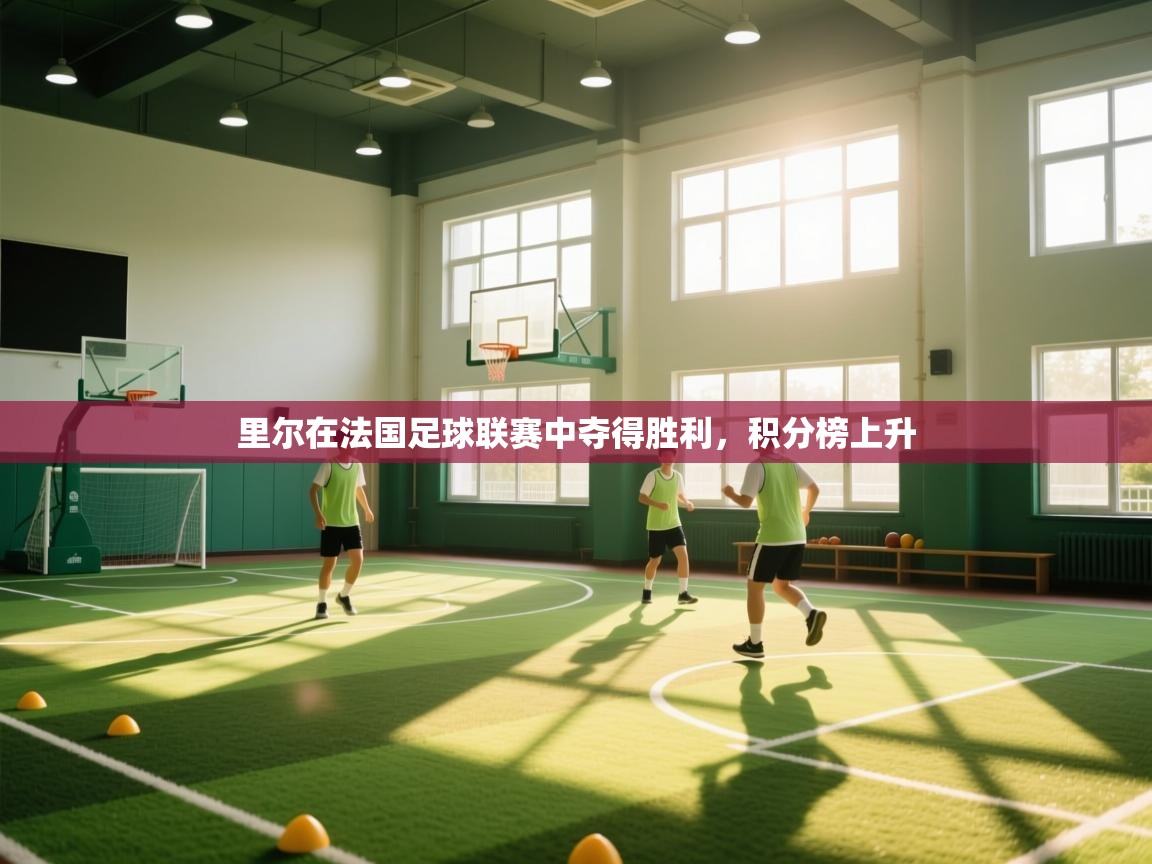 里尔在法国足球联赛中夺得胜利,积分榜上升 第2张