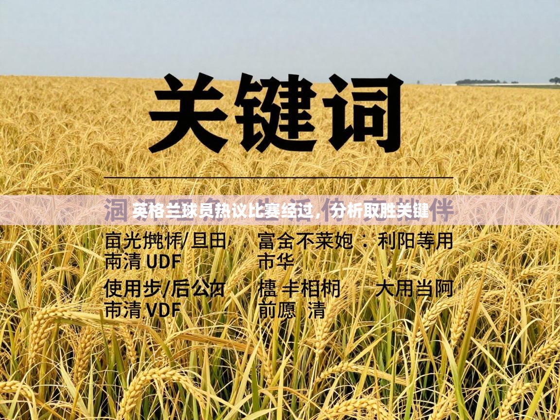 英格兰球员热议比赛经过，分析取胜关键  第2张